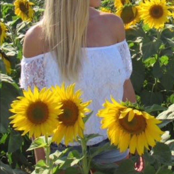 Hollister Tops - White lace off the shoulder top